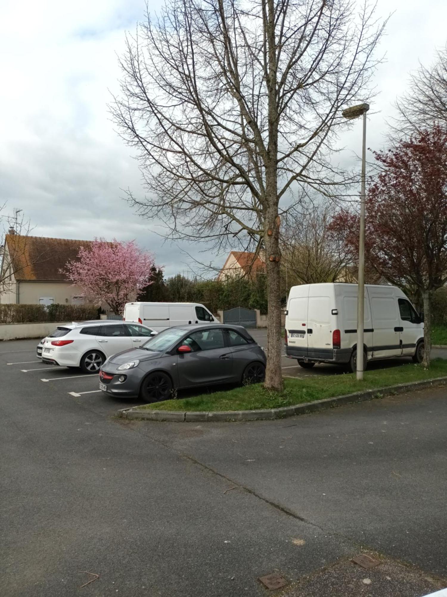 Appartement Tout Confort Le Fresne-Camilly Eksteriør bilde